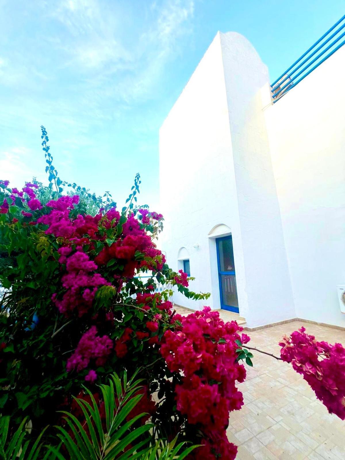 St Nicolaos Villa Ekaterina 3 Bdrm Protaras Dış mekan fotoğraf